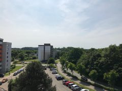Ausblick